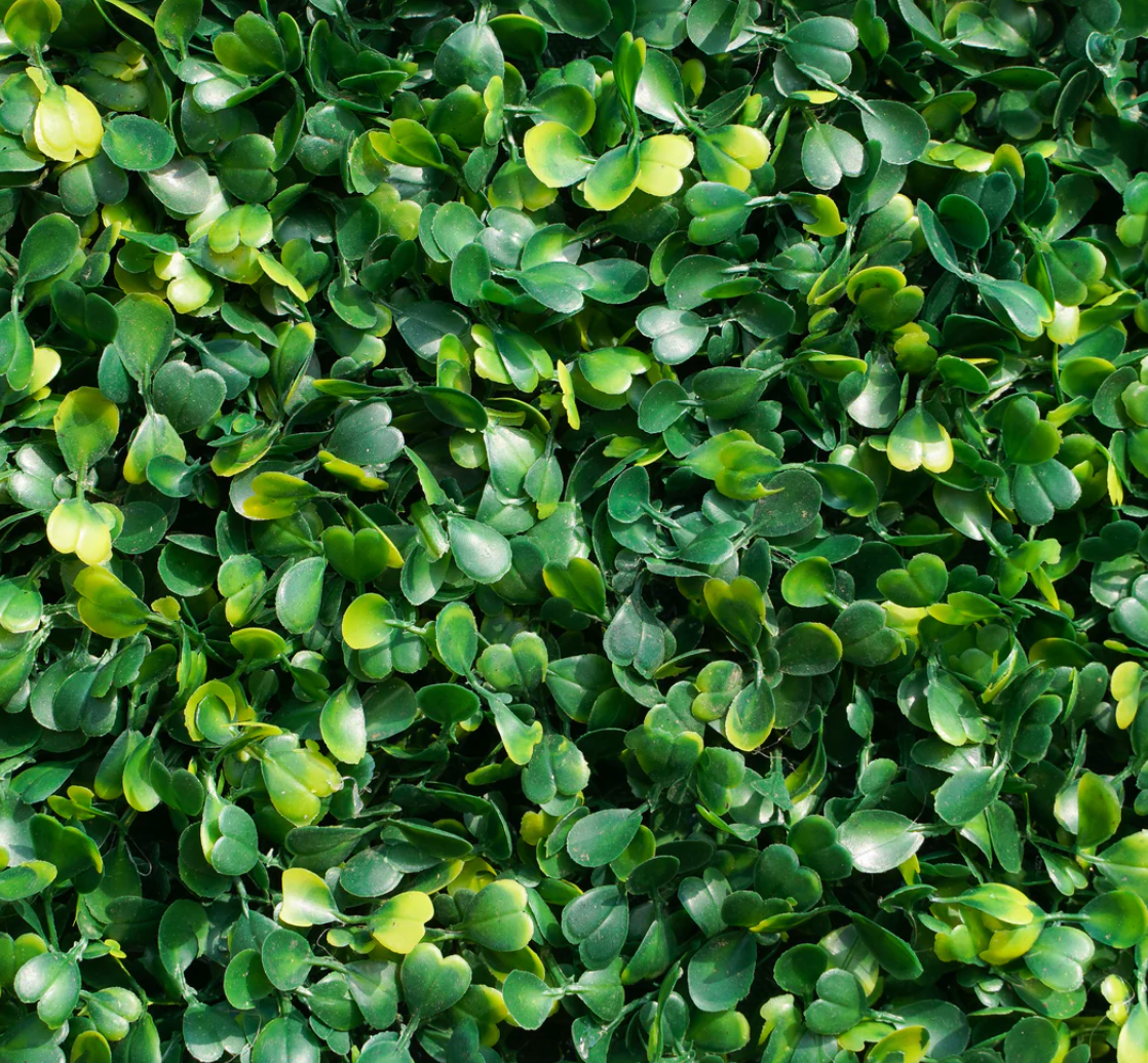 Greenery Backdrop